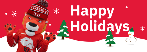 Winter Holiday Banner